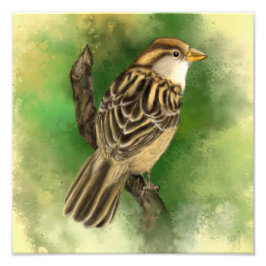 Little Sparrow Foto Print