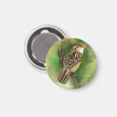 Little Sparrow Magned - Green Magnet (Vorderseite/Rückseite)