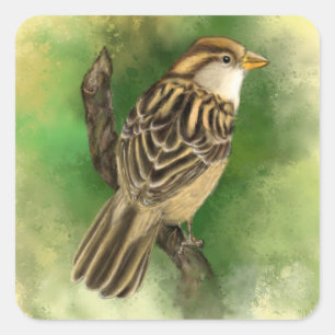 Little Sparrow Sticker - Green
