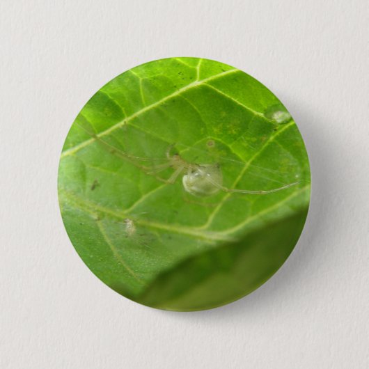 Little Spider Button (Vorderseite)