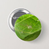 Little Spider Button (Vorne & Hinten)