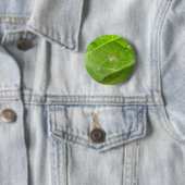Little Spider Button (Beispiel)