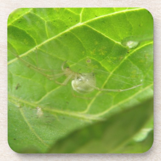 Little Spider Cork Untersetzer (Vorderseite)