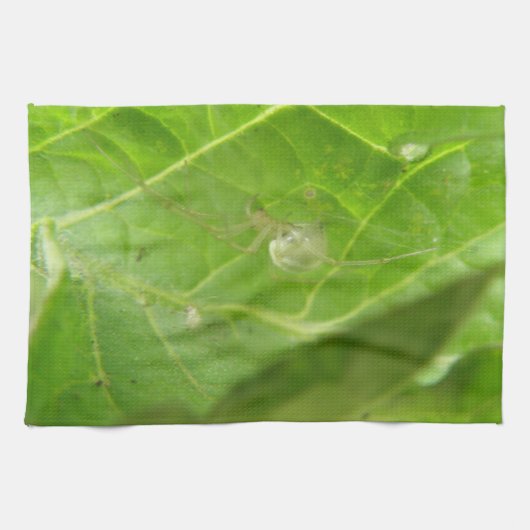 Little Spider Kitchtuch Handtuch (Horizontal)