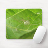 Little Spider Mousepad (Mit Mouse)