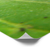 Little Spider Print Poster (Ecke)