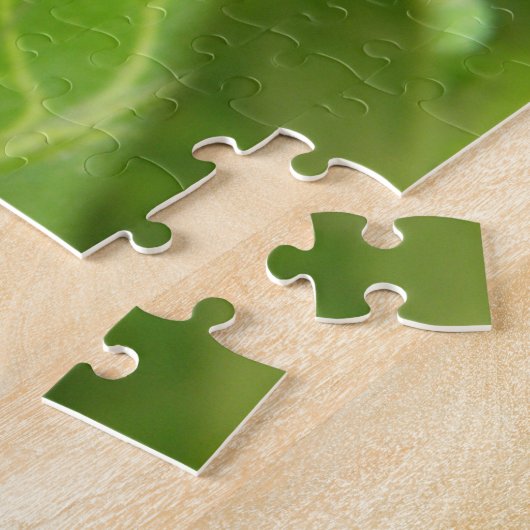 Little Spider Puzzle (Seite)