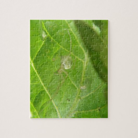 Little Spider Puzzle (Vertikal)