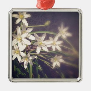 Little Stars #Blume #garening Silbernes Ornament