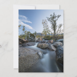 Little Stream Nature photo card Feiertagskarte