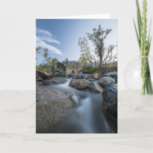 Little Stream Nature photo Karte