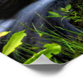 Little Stream Poster (Ecke)