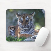 Little Stripes Mousemat Mousepad (Mit Mouse)