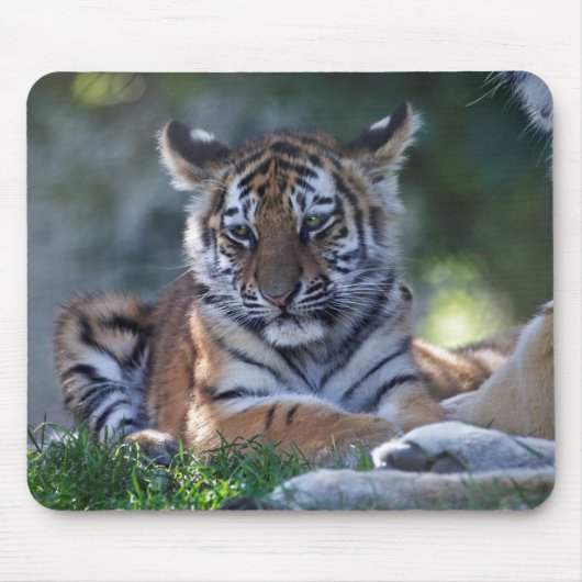 Little Stripes Mousemat Mousepad (Vorne)
