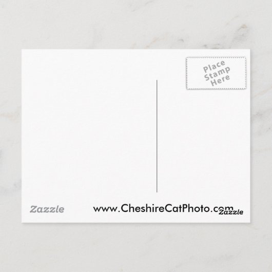 Little Sur River, Big Sur, Kalifornien Postkarte (Rückseite)