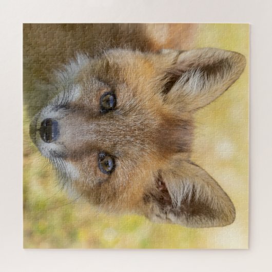 Little Süsse Fox Portrait Puzzle (Horizontal)