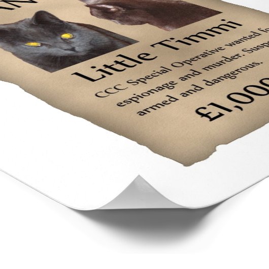 Little Timmi wollte Poster (Ecke)