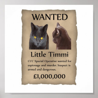 Little Timmi wollte Poster