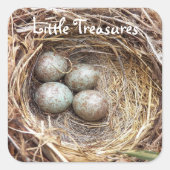 Little Treasures Bird Nest Eggs Foto Quadratischer Aufkleber (Vorderseite)