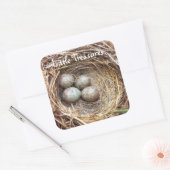 Little Treasures Bird Nest Eggs Foto Quadratischer Aufkleber (Umschlag)