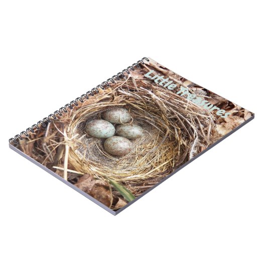 Little Treasures Bird Nest Eggs Notizblock (Linke Seite)