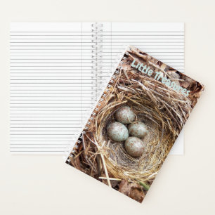 Little Treasures Bird Nest Eggs Notizblock