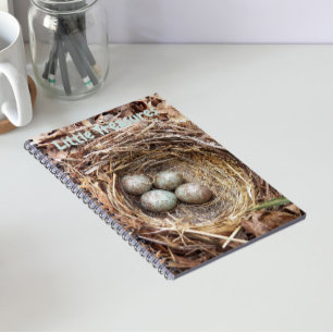Little Treasures Bird Nest Eggs Notizblock
