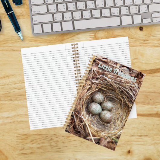 Little Treasures Bird Nest Eggs Notizblock