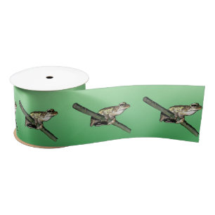 Little Tree Frog Oil Paint, Satin Ribbon Satinband