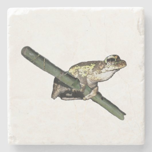 Little Tree Frog Oil Paint, Stone Untersetzer (Vorderseite)