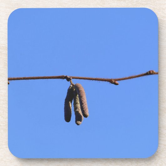 Little Twig auf Blue Sky Getränkeuntersetzer (Vorderseite)