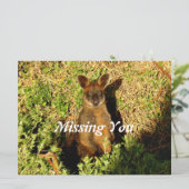 Little Wallaby (Stehend Vorderseite)