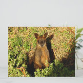 Little Wallaby (Stehend Vorderseite)