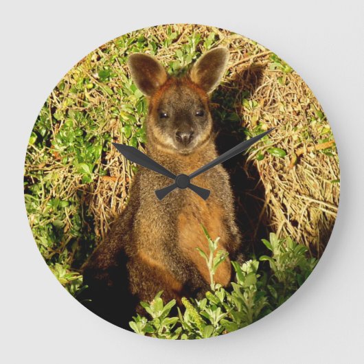 Little Wallaby Große Wanduhr (Vorderseite)