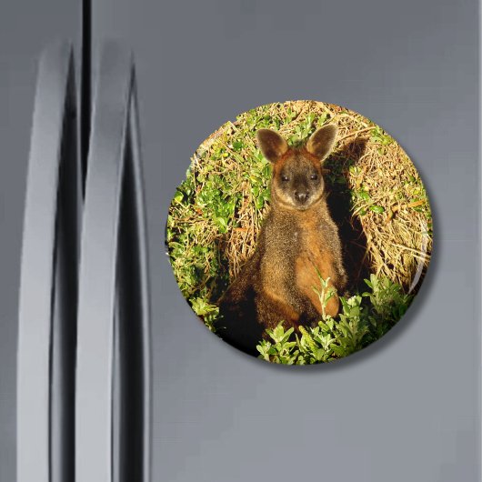 Little Wallaby Magnet