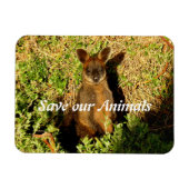Little Wallaby Magnet (Horizontal)