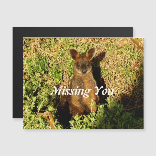 Little Wallaby Magnetkarte (Vorne/Hinten)