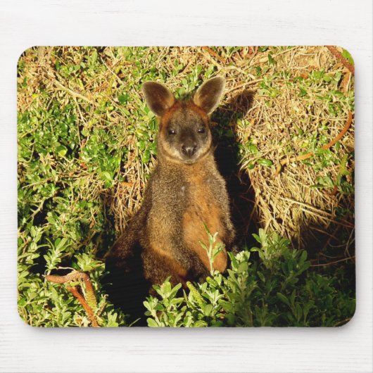 Little Wallaby Mousepad (Vorne)