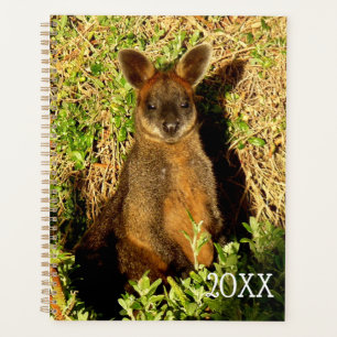 Little Wallaby Planer