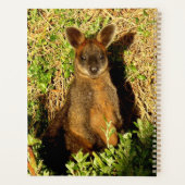 Little Wallaby Planer (Rückseite)