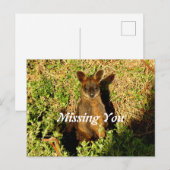 Little Wallaby Postkarte (Vorne/Hinten)