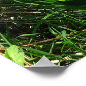 Little Watermelon Poster (Ecke)