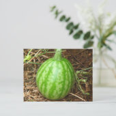 Little Watermelon Postkarte (Stehend Vorderseite)