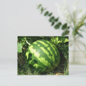 Little Watermelon Postkarte (Stehend Vorderseite)
