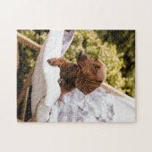 Little Weiner Dog Lounging In the Sun Puzzle (Horizontal)