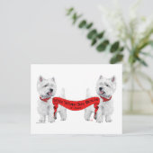 Little White Dog Rescue Postkarte (Stehend Vorderseite)