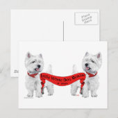 Little White Dog Rescue Postkarte (Vorne/Hinten)