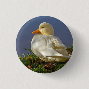 Little White Duck Button