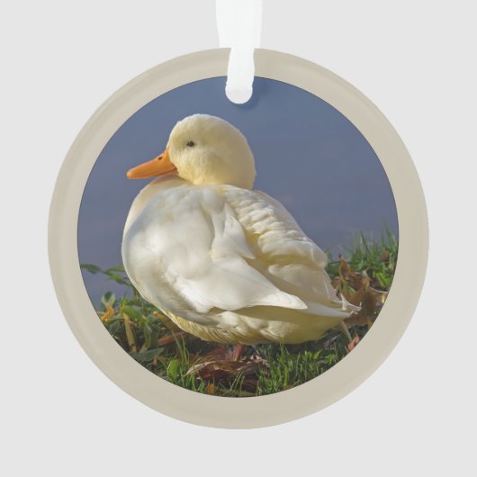 Little White Duck Ornament (Rückseite)