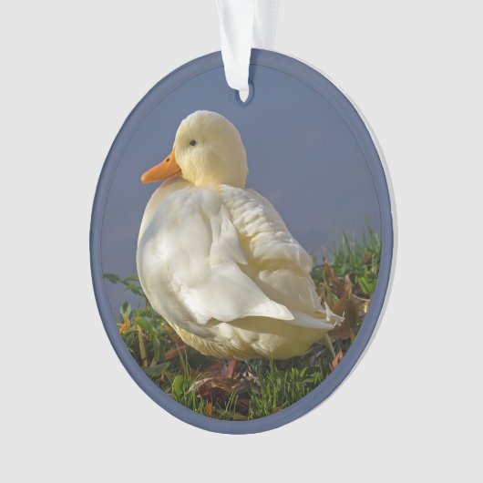 Little White Duck Ornament (Vorderseite)